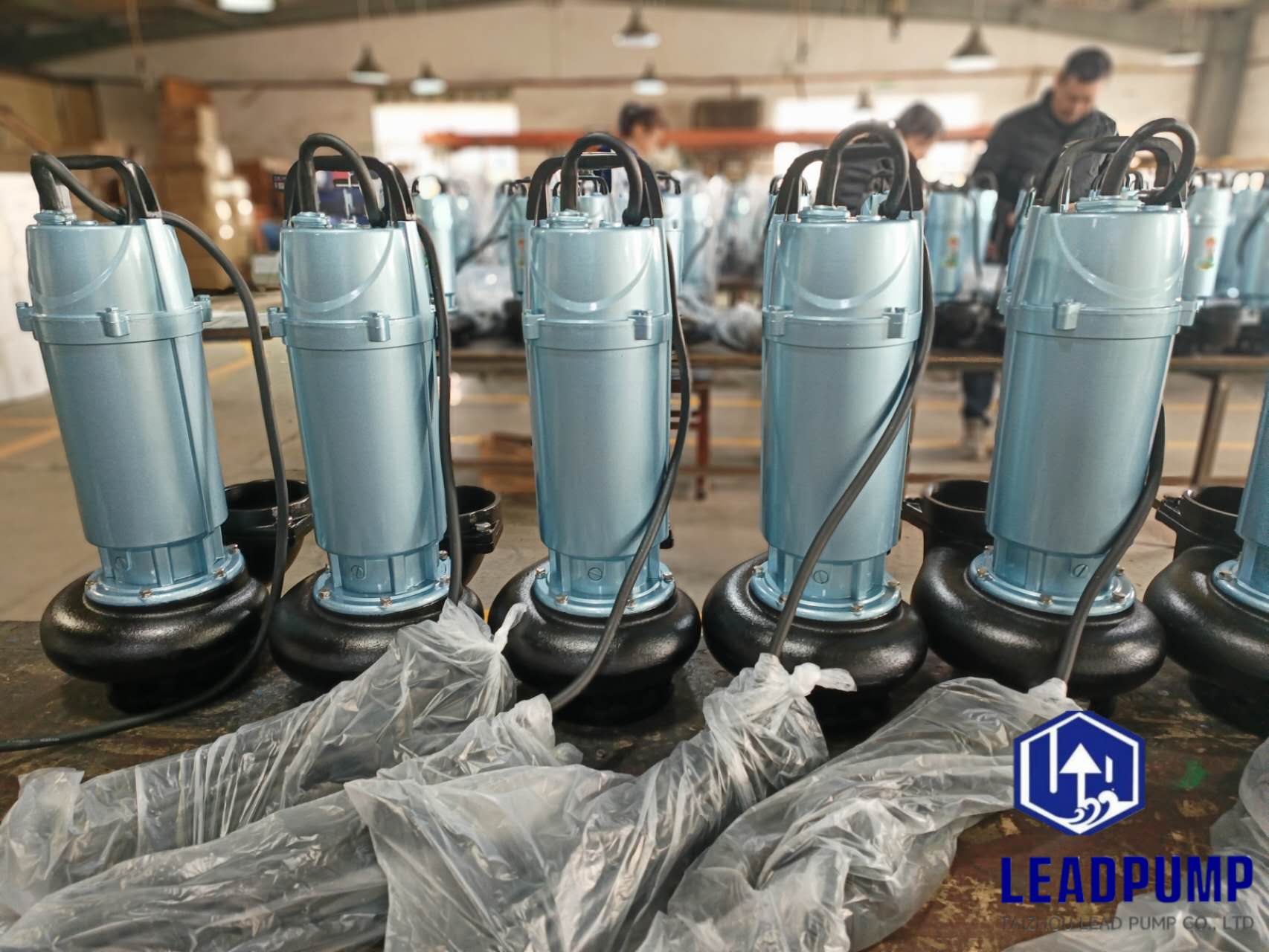 Taizhou Lead Pump Co., Ltd เสร็จสิ้นการผลิตปั๊มใต้ดินใหม่สำหรับลูกค้าตะวันออกกลาง