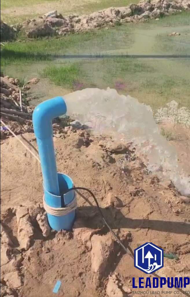 Solar Hybrid Pump ในการดำเนินการ - ฟาร์มฟิลิปปินส์!